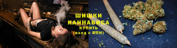 дживик Гусиноозёрск