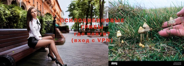 герыч Дмитровск