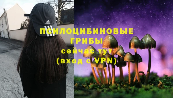 круглые Дмитров