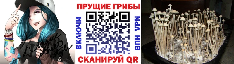 МЕГА маркетплейс  Игарка  Псилоцибиновые грибы ЛСД 